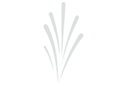 Bouquet Mine - Fireworks Effects - Pyromaniax
