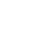 Jellyfish - Fireworks Effects - Pyromaniax