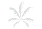 Palm - Fireworks Effects - Pyromaniax