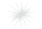 Pistil - Fireworks Effects - Pyromaniax
