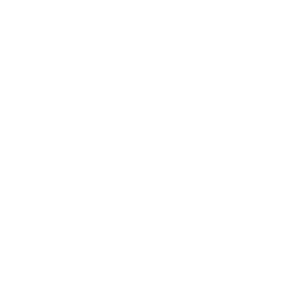 Fireworks Pyromaniax