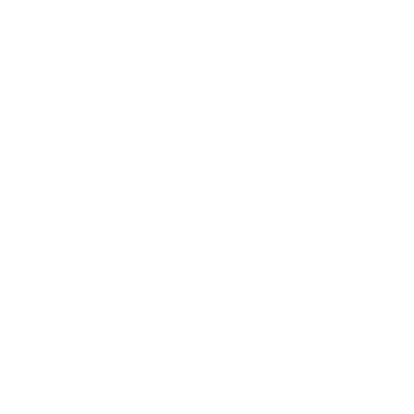 Rockets Pyromaniax