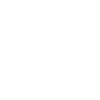 Fireworks Pyromaniax