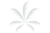 Palm - Fireworks Effects - Pyromaniax
