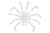 Spider - Fireworks Effects - Pyromaniax