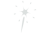 Tail - Fireworks Effects - Pyromaniax